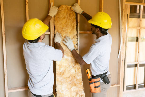 Types of Insulation We Offer in Windsor, CO